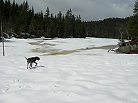 500fjell_dscn2115.jpg