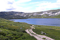 Snøfjellstjønna