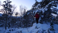 Astrid på den nordligste kulen på Storhovden