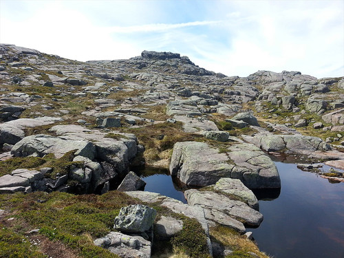 Typisk terreng oppe på høydedraget. Topp-platået i bakgrunnen.