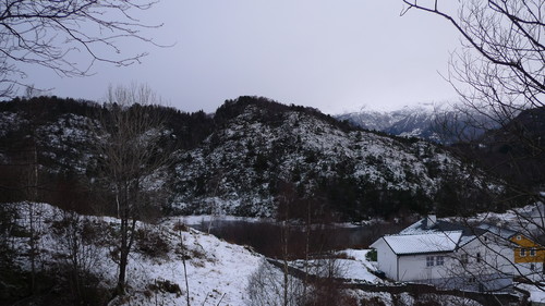 Floråsen sett fra sørsiden av Myrdalsvannet