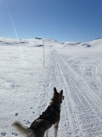 Urk, enda en dag med sol