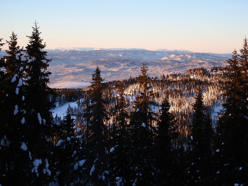 I retning Vassfarfjella fra Ringkollen.