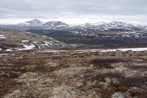 På 1100 meter. Ser meg tilbake stien jeg gikk opp. Elgspiggen i horisonten til venstre.