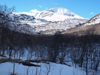 Grytefjellet sett fra Tindholet.