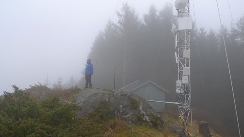 Solendfjellet - Risfjellet 160 moh øst for stien