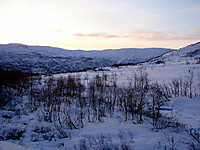 En strålende dag! Alex har gått i forveien ute på myra til høyre.