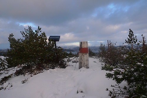 Veten i Fana. Fanafjorden i bakgrunnen mot NNØ.