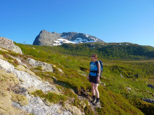 Nonstinden og Ramnafjellet fra østsiden av dalen