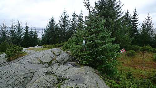 Lyngfjellet på Haukås i Lindås