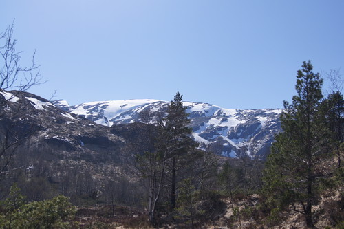 Gullfjellplatået i bakgrunnen sett fra Gullbotn