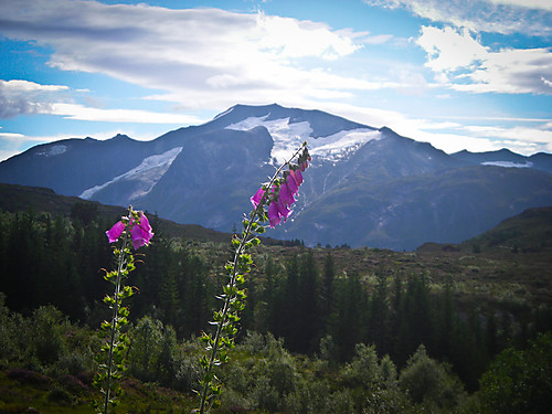 Det er jammen vakkert i Stryn!