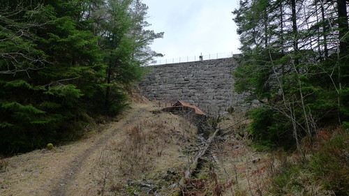 Skogsvegen går over til sti ved demningen i sørenden av Hovlandsvatnet