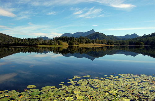 Mount Warning, en fin spiss topp, sett fra Clarrie Hall Dam. Foto: Pouts31 GNU Free Documentation License. Kilde: Wikipedia.org