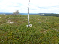 Dette kunne ha vært Søre Hærfjellet, men en meter lavere i følge kartet på Peakbook