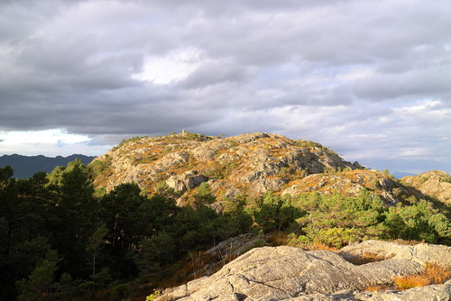 Høgafjellet 218