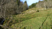 Starten på stien til Selifjellet fra Vik