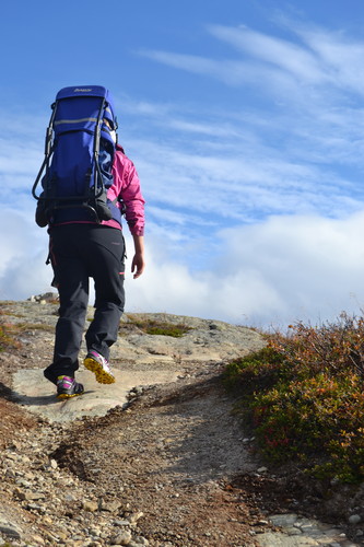 Begynnende høstfarger, blå himmel og en skravlegutt på ryggen.