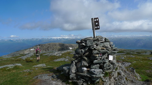 Vesoldo. Tørvikenuten og Folgefonni i bakgrunnen