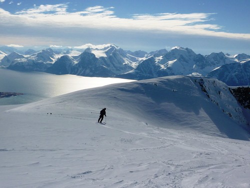 Leaving Kjelvågtinden behind and skiing straight down towards the fjord