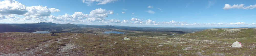 Utsikt fra Skjervungfjellet