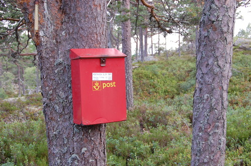 Kasse med bok på toppen. Skal det være postkasse så skal det være postkasse. 