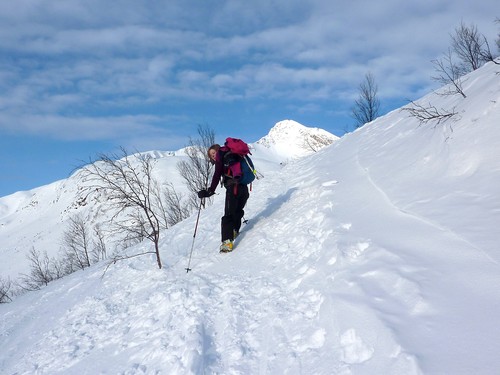 Vi fulgte skispor rundt østsiden av skogen under Skitntinden