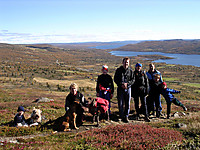 På vei mot Skogshorn. Storevatnet og Tisleifjorden bak.