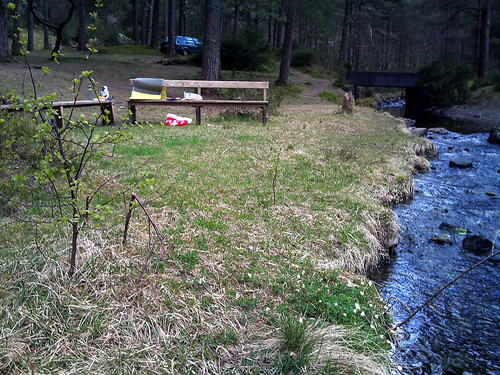 En idyllisk "campingplass" skjult i skogen på Bømlo