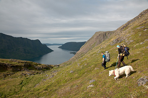 På vei ned mot Jøfjorden etter endt tur.