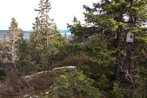 Kjentmannsmerket på Grasdalskollen.