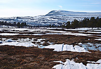 Fin natur, men utfordrende å ta seg fram i dag på dette føret. Vuolanjunnásgáisá ruver bak.