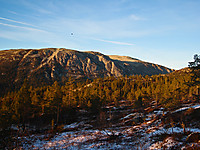 500fjell_2010-10-24_17.24.55.jpg