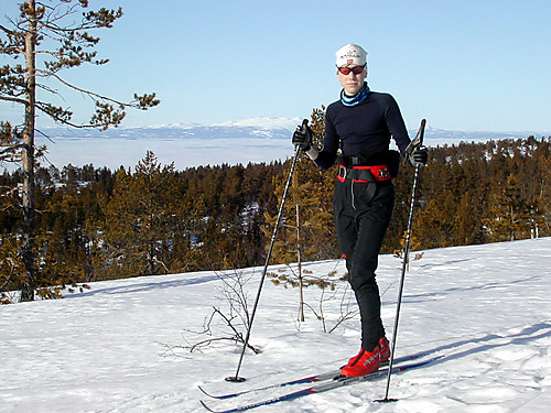 På ryggen før Hovlandsfjellet. Norefjell ses bak.