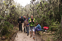 På vei oppover i regnskogen mot Machame camp.