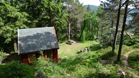 Hytte i furuskogen nær Viggohytten med rhododendron og hengebøk!