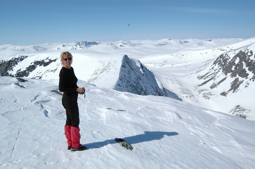 Fra Nord til Nordre Skredåhøin