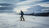 Oppe på snaufjellet på vei mot Rindhovda.