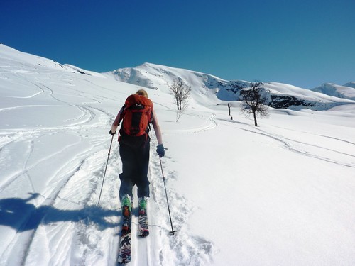 Endelig ut av skogen med Sorbmegaisa til høyre