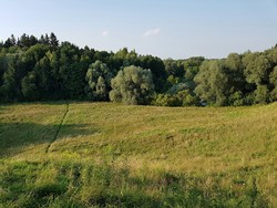 Teufelsberg Aussicht West