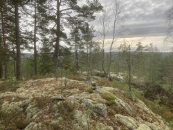 Rundtjennåsen