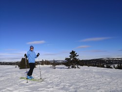 Tveitastølfjellet Sørøst