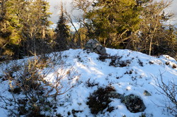 Storåsen i Rendalen og Stor-Elvdal