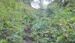 Utla - sti - svært bratt jordbakke