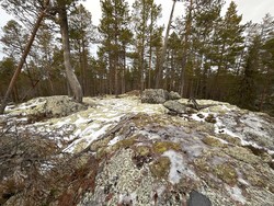 Rudsåsen Nordøst 2