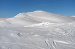 Grønfjellet Grønfjellet