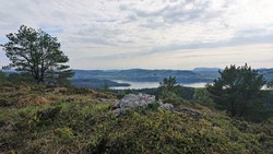Grimstadfjellet trigpunkt