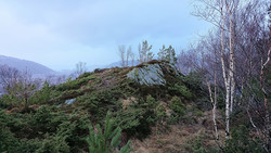 Nattlandsfjellet