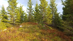 Haugerhaugen sørøst