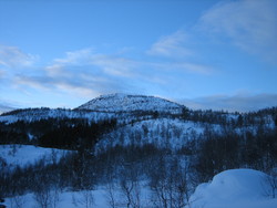 Lauvhovden